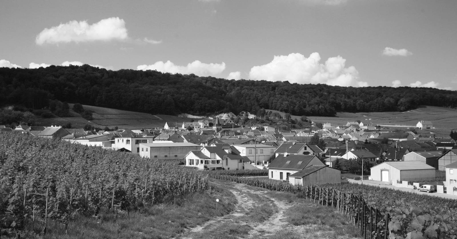 Champagne Nicolas Machet